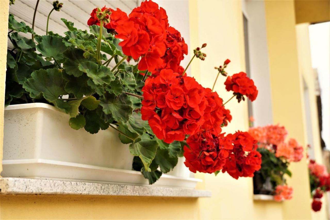 Bed and Breakfast Club Haus 502 Kalocsa Exterior foto
