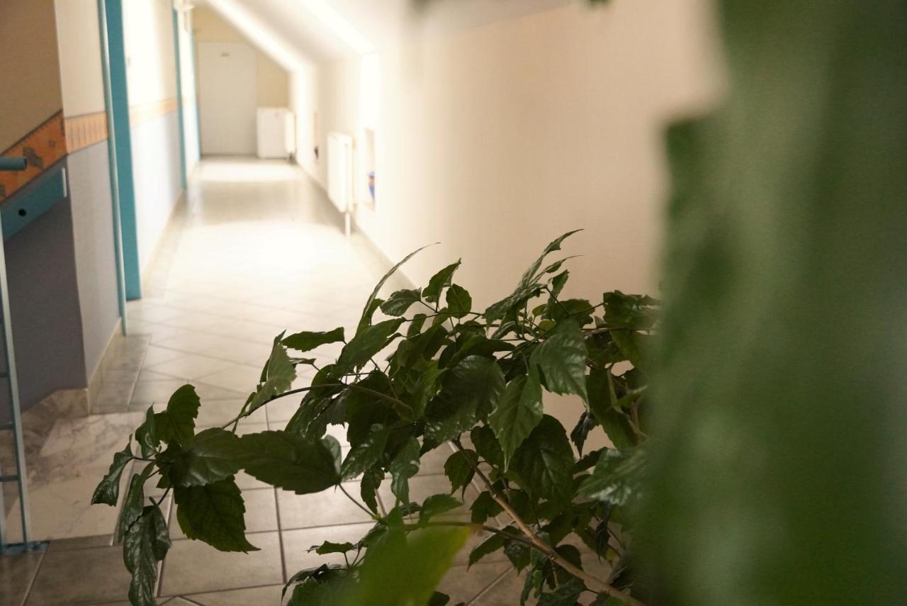 Bed and Breakfast Club Haus 502 Kalocsa Exterior foto