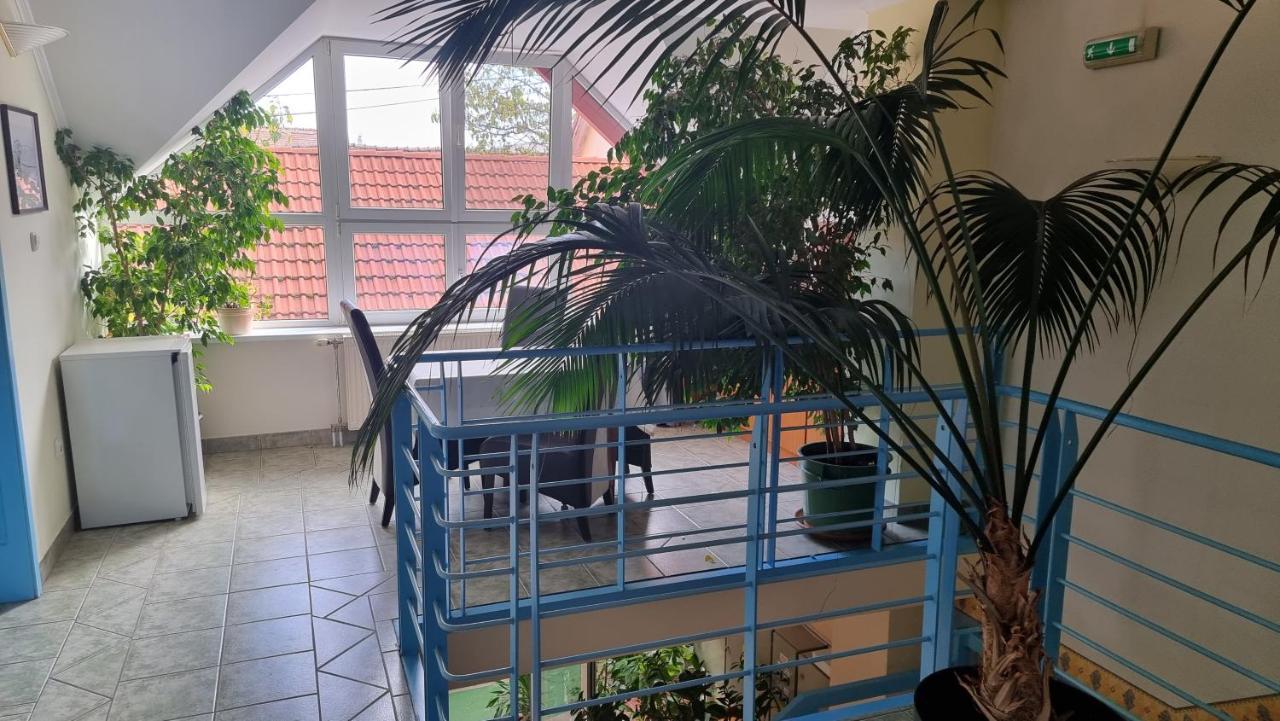 Bed and Breakfast Club Haus 502 Kalocsa Exterior foto